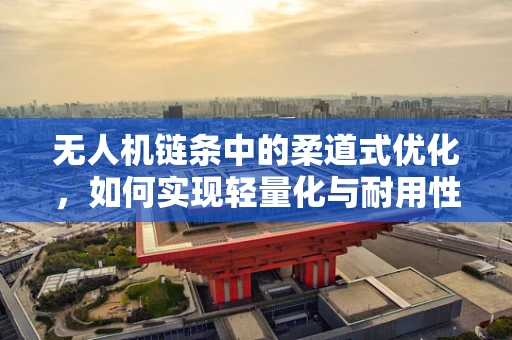 无人机链条中的柔道式优化，如何实现轻量化与耐用性的完美平衡？