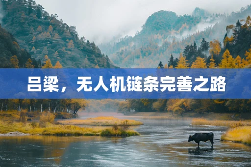 吕梁，无人机链条完善之路