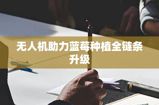 无人机助力蓝莓种植全链条升级