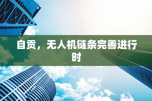 自贡，无人机链条完善进行时