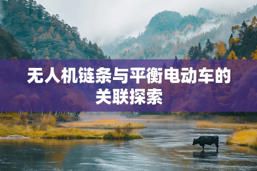 无人机链条与平衡电动车的关联探索