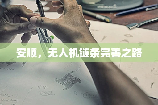 安顺，无人机链条完善之路
