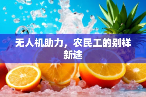 无人机助力，农民工的别样新途