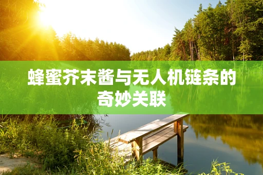 蜂蜜芥末酱与无人机链条的奇妙关联
