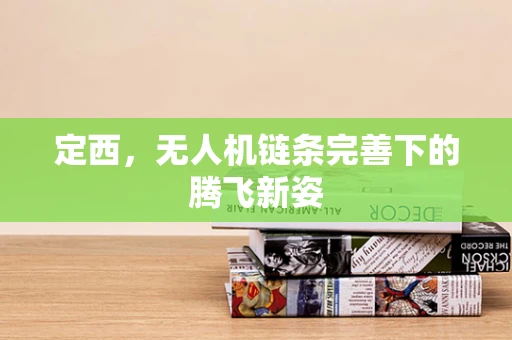定西，无人机链条完善下的腾飞新姿