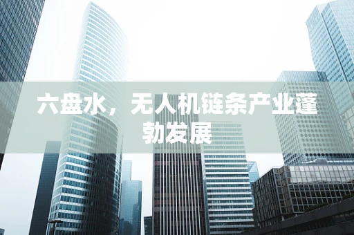 六盘水，无人机链条产业蓬勃发展