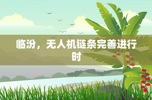临汾，无人机链条完善进行时