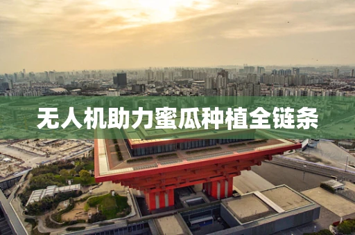 无人机助力蜜瓜种植全链条
