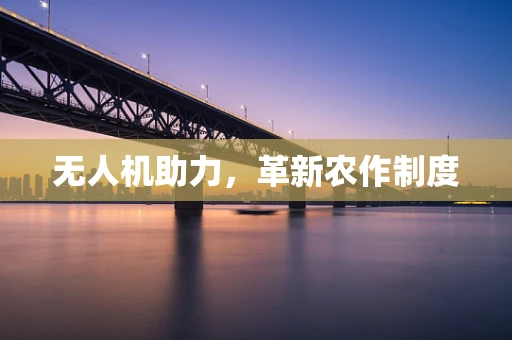 无人机助力，革新农作制度