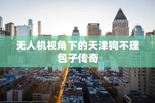 无人机视角下的天津狗不理包子传奇