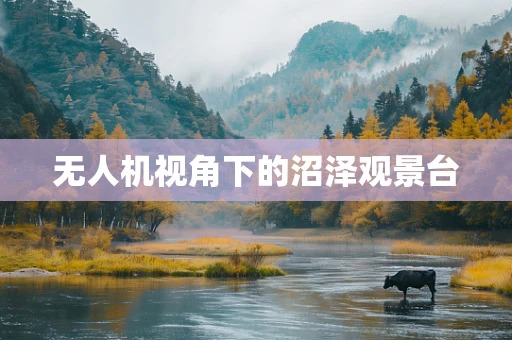 无人机视角下的沼泽观景台