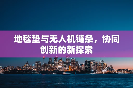 地毯垫与无人机链条，协同创新的新探索