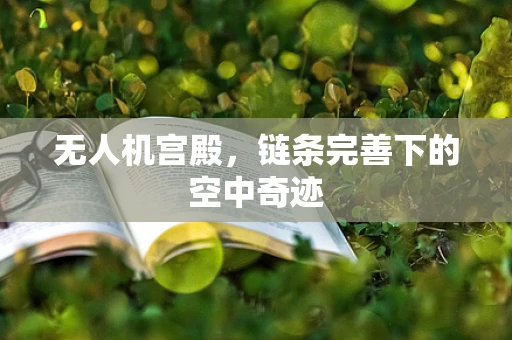 无人机宫殿，链条完善下的空中奇迹