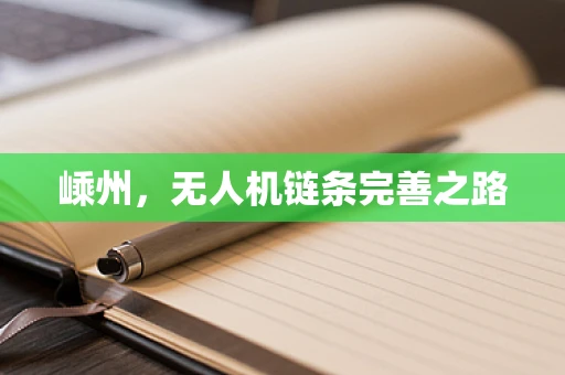 嵊州，无人机链条完善之路