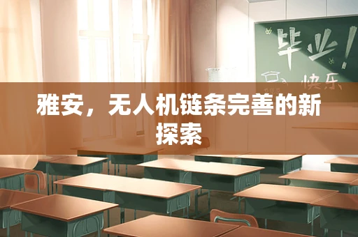 雅安，无人机链条完善的新探索