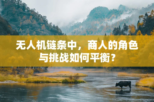 无人机链条中，商人的角色与挑战如何平衡？