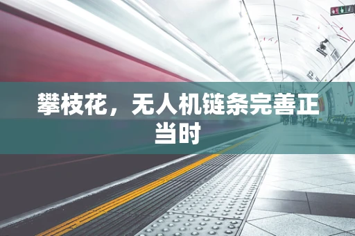 攀枝花，无人机链条完善正当时