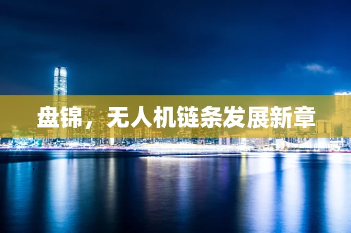 盘锦，无人机链条发展新章