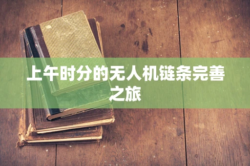 上午时分的无人机链条完善之旅
