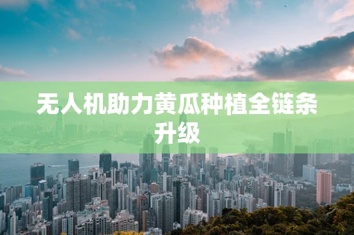 无人机助力黄瓜种植全链条升级