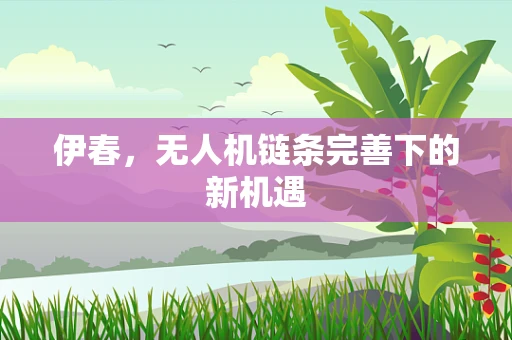 伊春，无人机链条完善下的新机遇