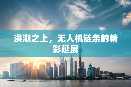 洪湖之上，无人机链条的精彩延展