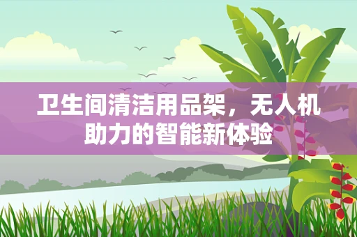 卫生间清洁用品架，无人机助力的智能新体验