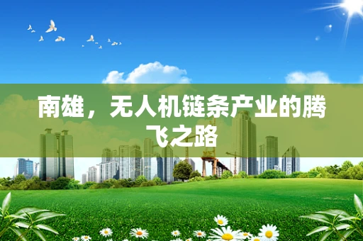 南雄，无人机链条产业的腾飞之路