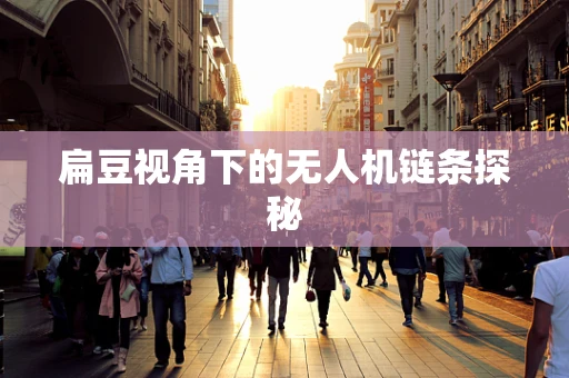 扁豆视角下的无人机链条探秘