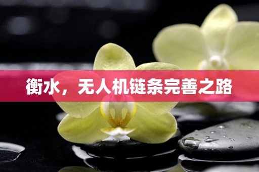 衡水，无人机链条完善之路