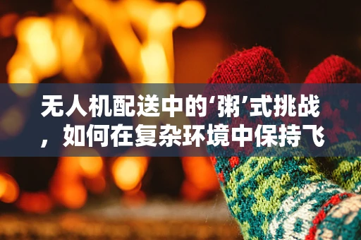 无人机配送中的‘粥’式挑战，如何在复杂环境中保持飞行稳定？