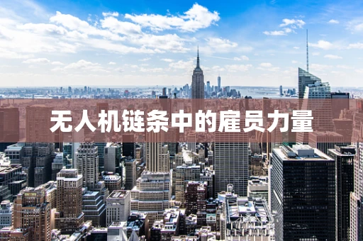 无人机链条中的雇员力量