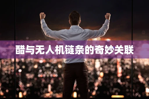 醋与无人机链条的奇妙关联