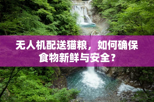 无人机配送猫粮，如何确保食物新鲜与安全？