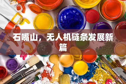 石嘴山，无人机链条发展新篇