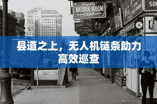 县道之上，无人机链条助力高效巡查