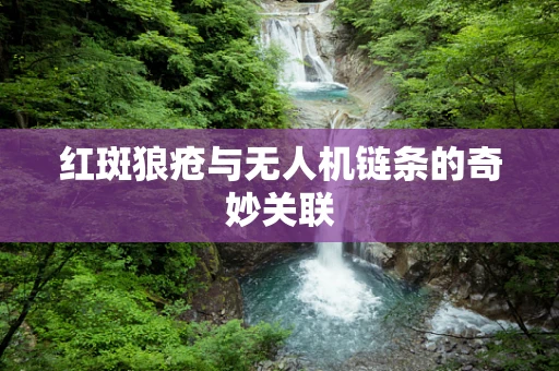 红斑狼疮与无人机链条的奇妙关联