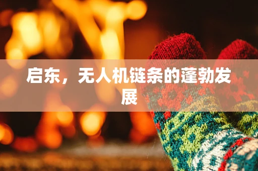 启东，无人机链条的蓬勃发展