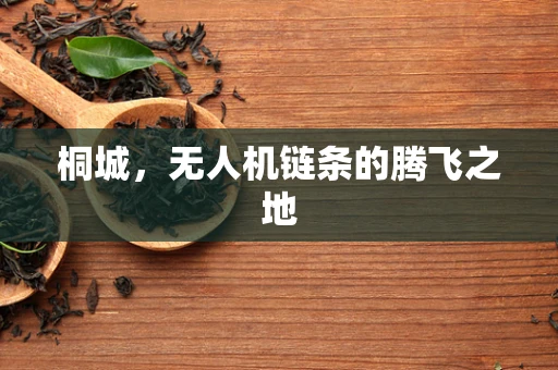 桐城，无人机链条的腾飞之地