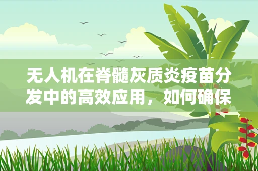 无人机在脊髓灰质炎疫苗分发中的高效应用，如何确保精准投放？