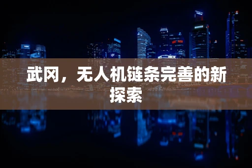 武冈，无人机链条完善的新探索
