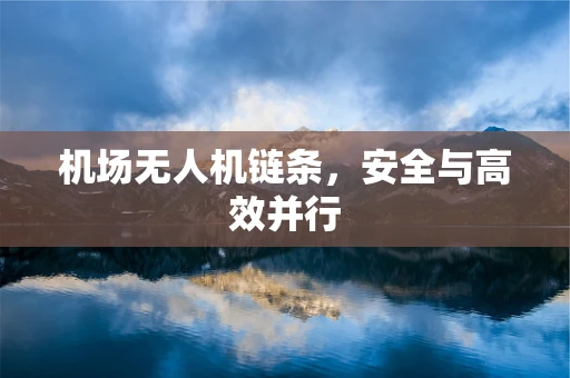 机场无人机链条，安全与高效并行