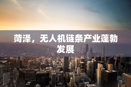 菏泽，无人机链条产业蓬勃发展
