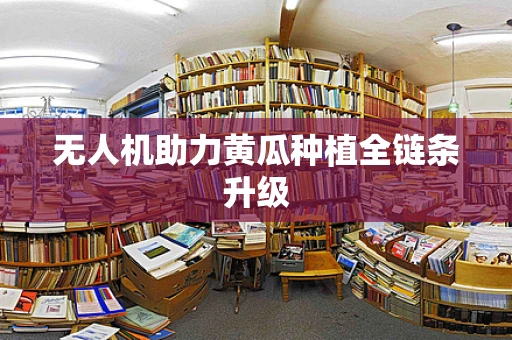 无人机助力黄瓜种植全链条升级