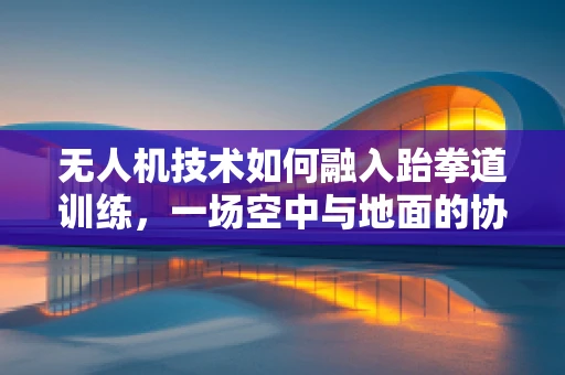 无人机技术如何融入跆拳道训练，一场空中与地面的协同演练？