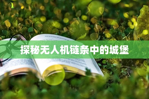探秘无人机链条中的城堡