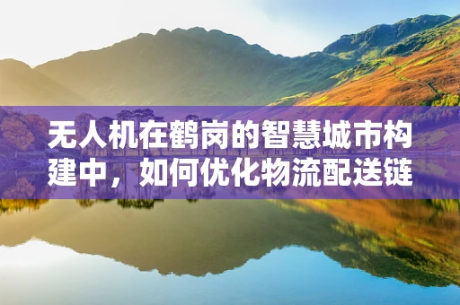 无人机在鹤岗的智慧城市构建中，如何优化物流配送链条？