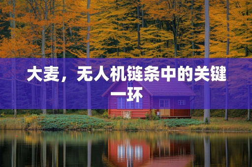 大麦，无人机链条中的关键一环
