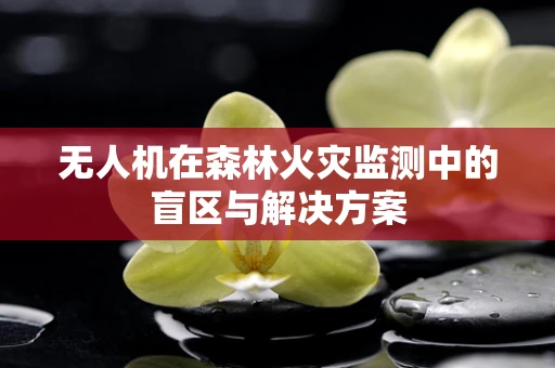无人机在森林火灾监测中的盲区与解决方案