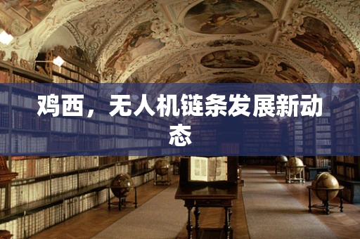 鸡西，无人机链条发展新动态